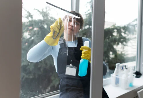 Nettoyage de vitres intérieures et extérieures à Novalaise